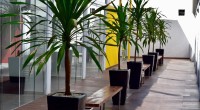 Galeria de imagem