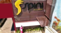 Galeria de imagem
