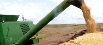 BNDES disponibiliza R$ 23 bilhões para Plano Safra 2019/2020