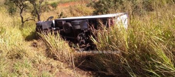 Cachorro provoca colisão e capotamento de veículos na BR 365