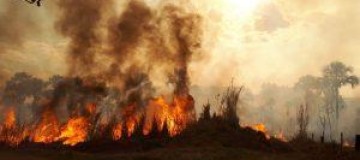 Incêndio de grandes proporções é registrado na BR-497