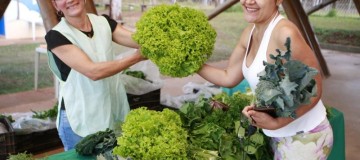 Parque do Sabiá recebe edição semanal da Feira Agroecológica