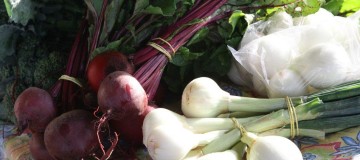 Feira Agroecológica está no Parque do Sabiá nesta terça (10)