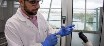 Laboratório produz pele humana para substituir testes em animais