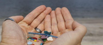 Pesquisas indicam ingestão de microplásticos por humanos