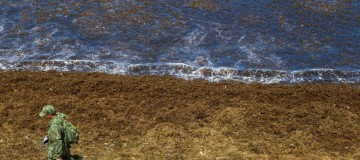 Óleo continua se espalhando e atinge novas praias de Pernambuco