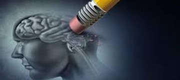Pesquisadores conseguem combater sintomas do Alzheimer com canabinoide
