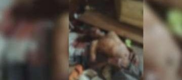 Idoso é torturado e tem olhos arrancados por mulheres em Minas