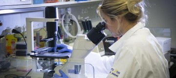 MEC autoriza antecipar formatura de alunos da área de saúde