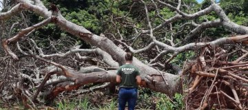 Sisema mantém fiscalizações essenciais e emergenciais durante quarentena