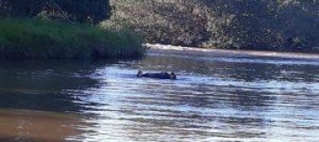 Corpo de mulher é achado em decomposição boiando no Rio Tijuco