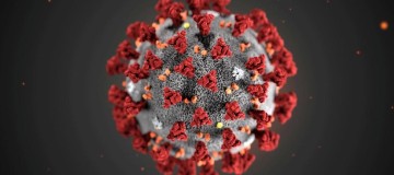 Coronavírus já matou mais que o Aedes aegypti em 4 anos