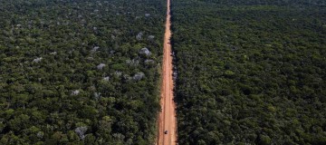Governo publica edital para pavimentação da BR-319, no Amazonas