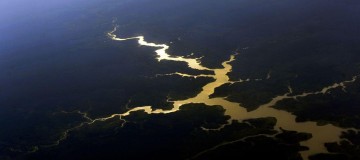 Governo destinará R$ 500 milhões para proteger mata nativa da Amazônia