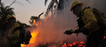 IEF publica edital para brigadistas com 5 vagas para Uberlândia