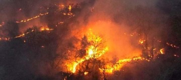 Queima controlada na agricultura tem novas regras em Minas Gerais
