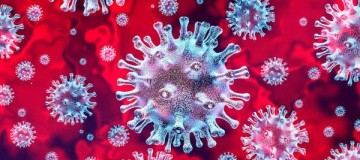 Saiba como funcionam os testes para detectar a Covid-19