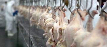 China diz que detectou coronavírus em frango importado do Brasil