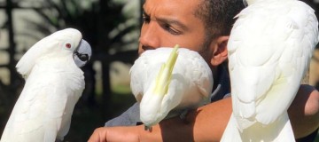 John Barreto fala sobre seu amor e cuidado com aves