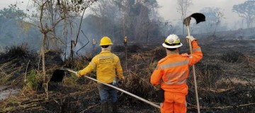 Incêndio atinge Parque Estadual do Pau Furado em Uberlândia