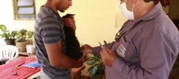 Vacinação Antirrábica na zona rural termina nesta sexta-feira (30)