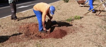Duas mil mudas serão plantadas às margens no córrego Liso em Uberlândia