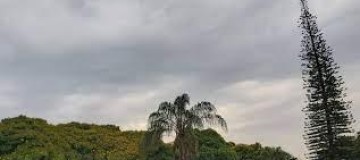 Chove em Uberlândia após 42 dias; moradores comemoram