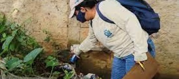 Casos de dengue no Brasil têm aumento de 46% entre janeiro e fevereiro