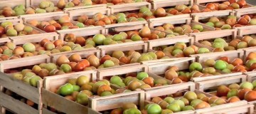 IPCA-15: preços sobem 0,21% em abril, ainda puxados pelos alimentos