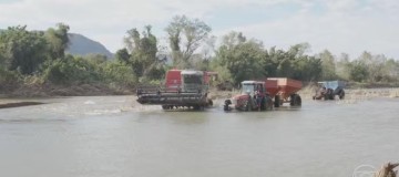Governo zera imposto para importação de três tipos de arroz até dezembro