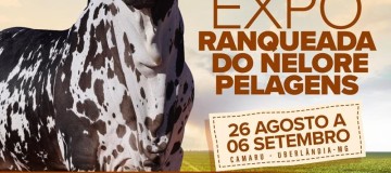 Camaru 2024 terá Exposição Ranqueada do Nelore Pelagens de Uberlândia