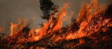 Governo anuncia R$ 514 milhões e vai agilizar verba do Fundo Amazônia