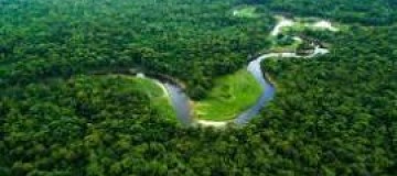 O que é o Fundo Amazônia?