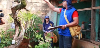 Agentes de zoonoses percorrerão imóveis nas tardes de sábado