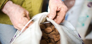 Ministério da Agricultura anuncia medidas de estímulo a cooperativas