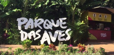 Parque das Aves recebe 123 pássaros resgatados nos últimos seis meses