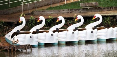 Parque do Sabiá funciona em horário especial neste sábado (6)