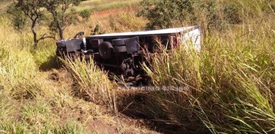 Cachorro provoca colisão e capotamento de veículos na BR 365