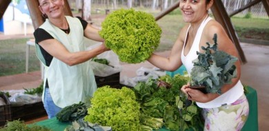 Parque do Sabiá recebe edição semanal da Feira Agroecológica