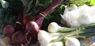 Feira Agroecológica está no Parque do Sabiá nesta terça (10)
