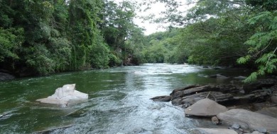Preservação do Rio Uberabinha é tema de oficina educativa em Uberlândia