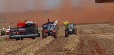 Uso de agrotóxico é debatido em comissão geral na Câmara