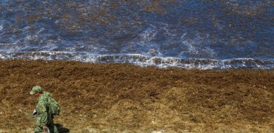 Óleo continua se espalhando e atinge novas praias de Pernambuco