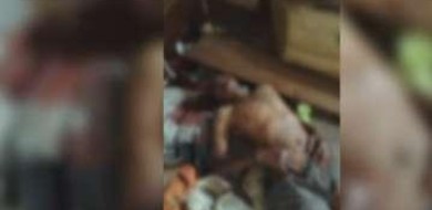 Idoso é torturado e tem olhos arrancados por mulheres em Minas