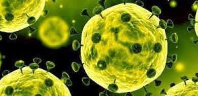 Manual da limpeza: como se proteger do coronavírus no dia a dia