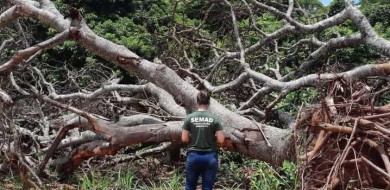 Sisema mantém fiscalizações essenciais e emergenciais durante quarentena