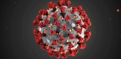 Coronavírus já matou mais que o Aedes aegypti em 4 anos
