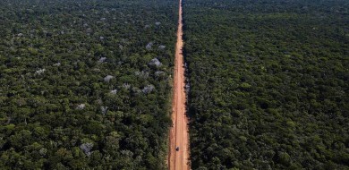 Governo publica edital para pavimentação da BR-319, no Amazonas