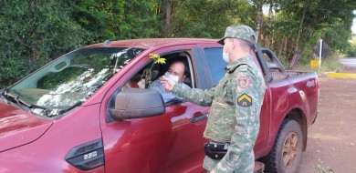 Polícia Ambiental de Ituiutaba distribui de mudas nativas