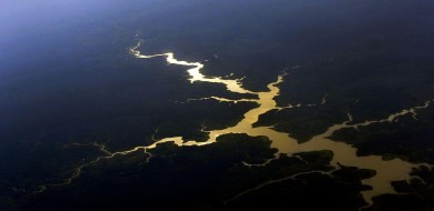 Governo destinará R$ 500 milhões para proteger mata nativa da Amazônia